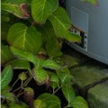 5 Instances When a Service From an HVAC UV Light Installation Service Company Near Loxahatchee Groves FL Affect Filters